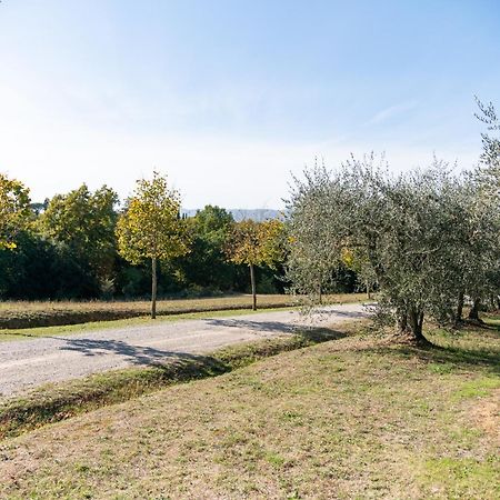San Carlo A La Molinella Konuk evi Città della Pieve Dış mekan fotoğraf