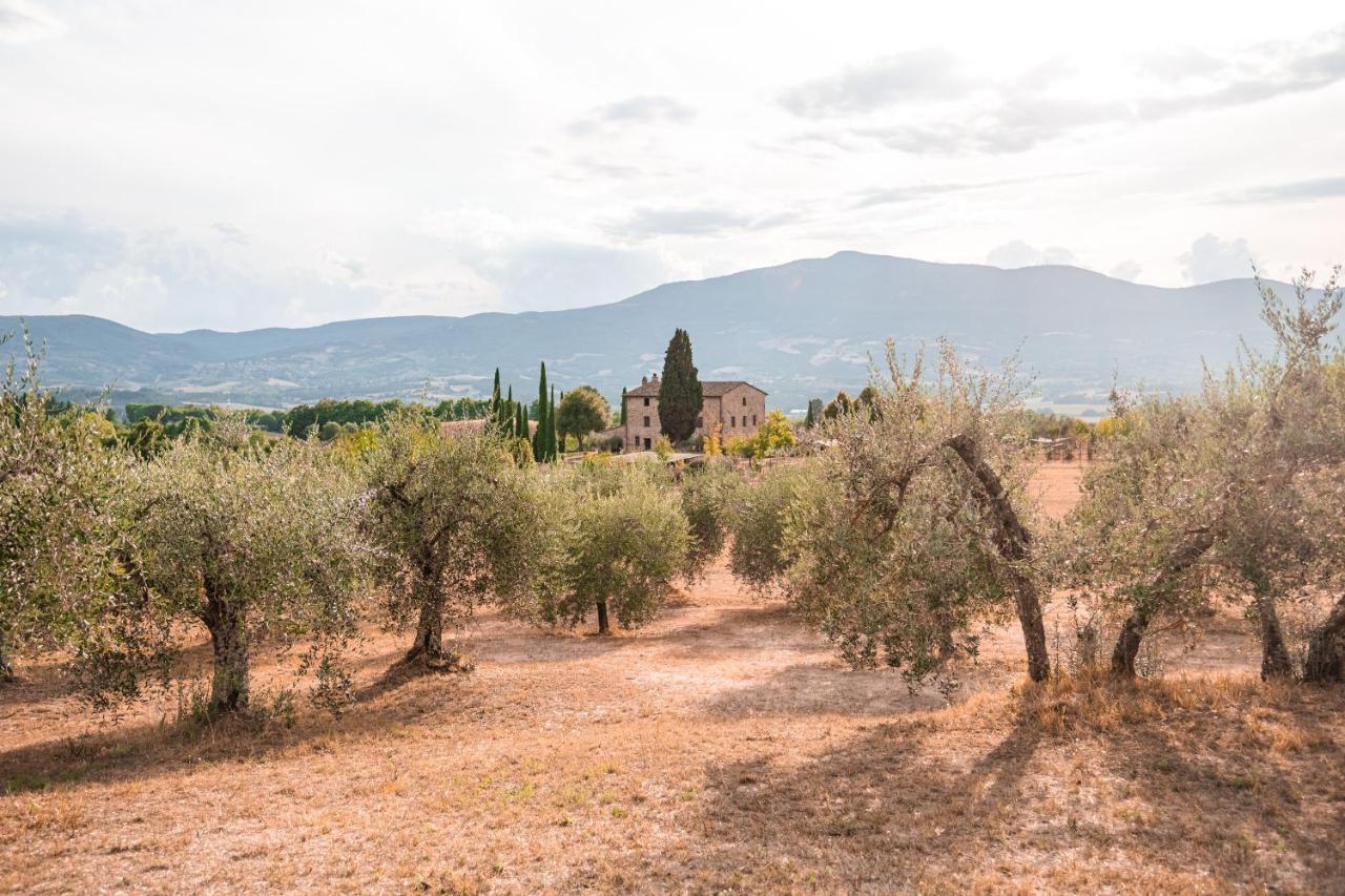 San Carlo A La Molinella Konuk evi Città della Pieve Dış mekan fotoğraf