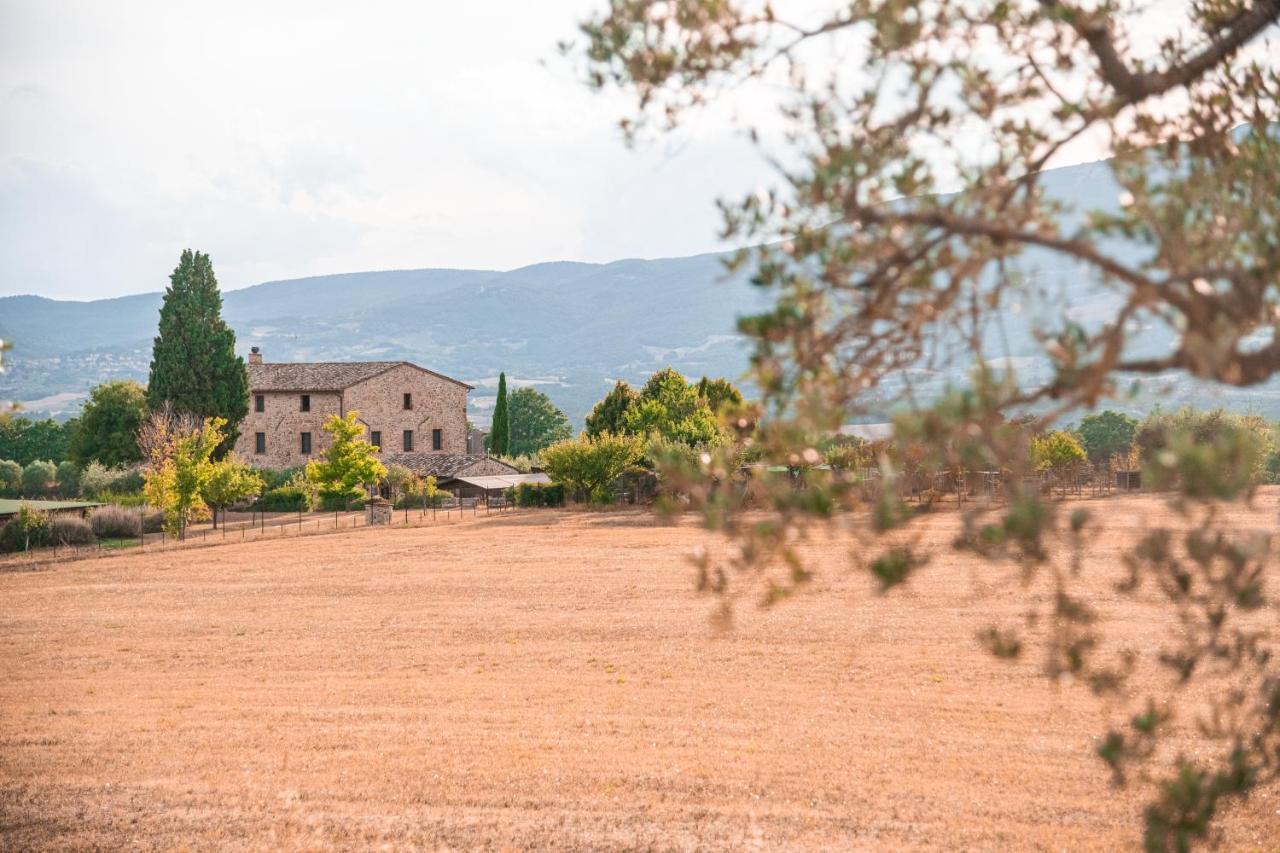 San Carlo A La Molinella Konuk evi Città della Pieve Dış mekan fotoğraf