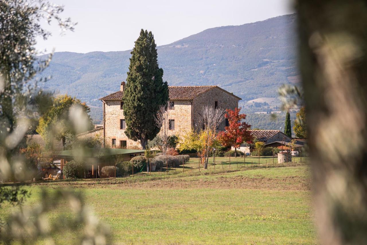 San Carlo A La Molinella Konuk evi Città della Pieve Dış mekan fotoğraf