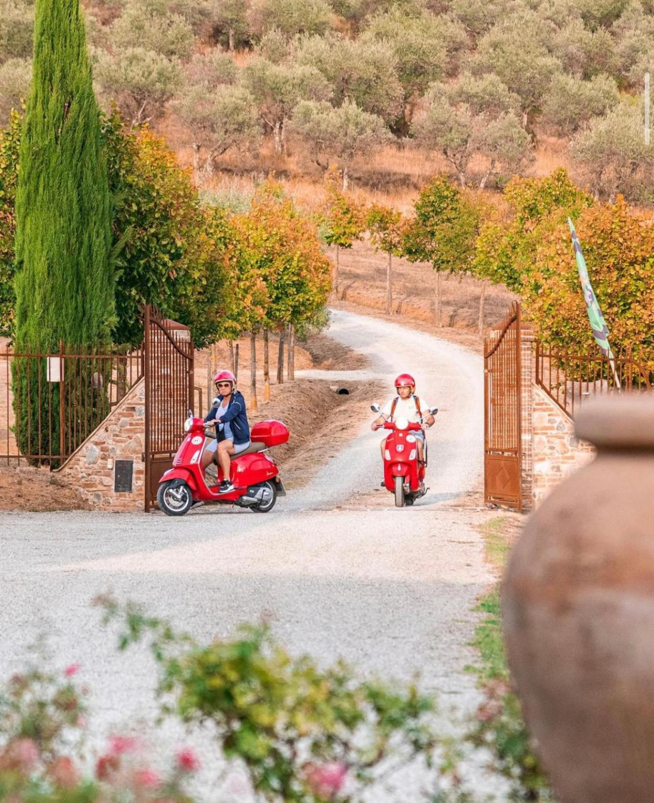San Carlo A La Molinella Konuk evi Città della Pieve Dış mekan fotoğraf