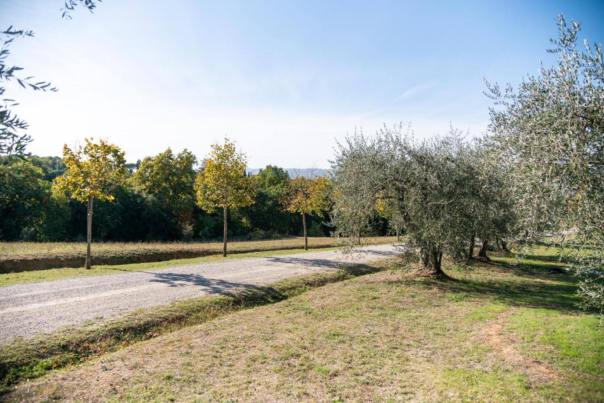 San Carlo A La Molinella Konuk evi Città della Pieve Dış mekan fotoğraf