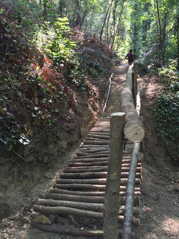 San Carlo A La Molinella Konuk evi Città della Pieve Dış mekan fotoğraf