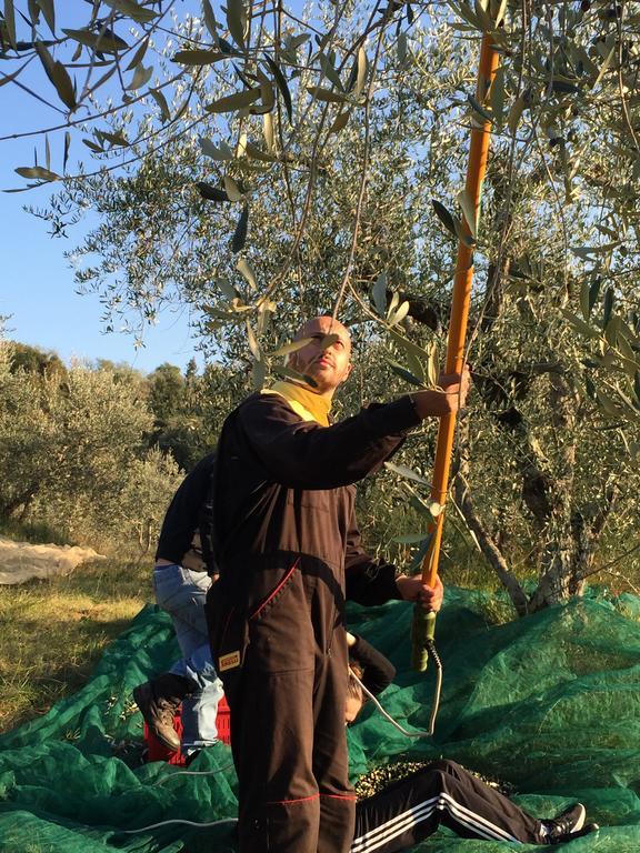 San Carlo A La Molinella Konuk evi Città della Pieve Dış mekan fotoğraf